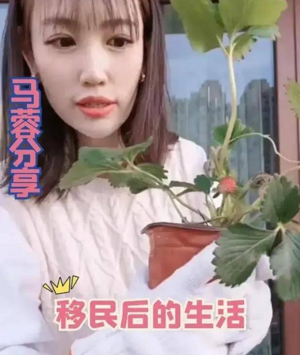 马蓉虽获得了丰厚的财产，却也付出了巨大的代价失去了家庭、名声和社会地位(图3)