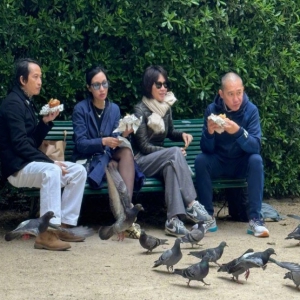 梁朝伟公园吃三文治，脚下有不少白鸽行来行去“陪吃”